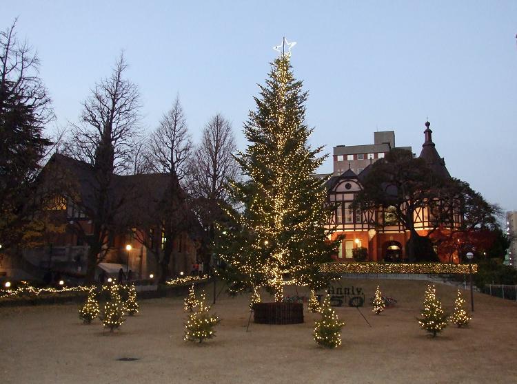 明治学院キャンパスのクリスマスイルミネーション。２０１２年１２月２３日、東京都港区で。