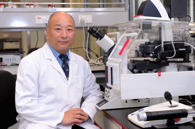 ＳＴＡＰ細胞再現実験実施の香港中文大学教授「存在しないと考える」、実験も中止