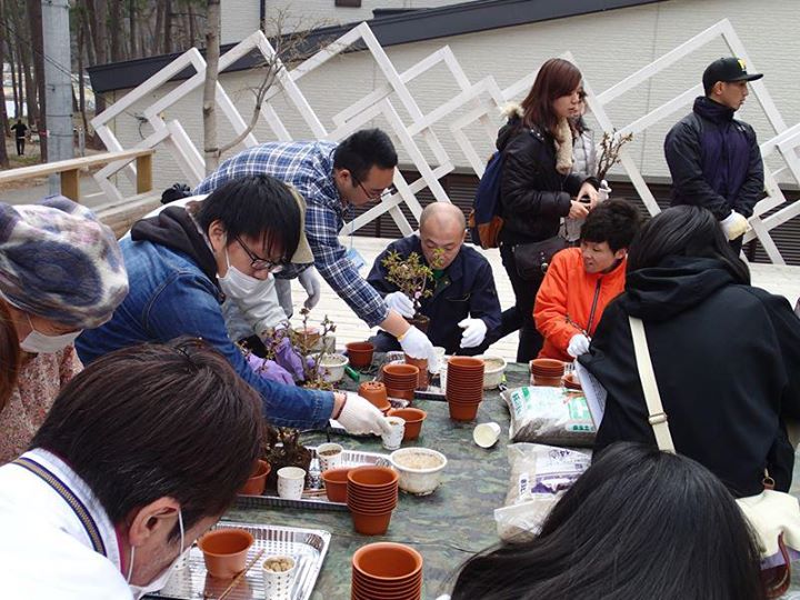 聖学院大学学生らが今年も「桜プロジェクト」 釜石市長も参加