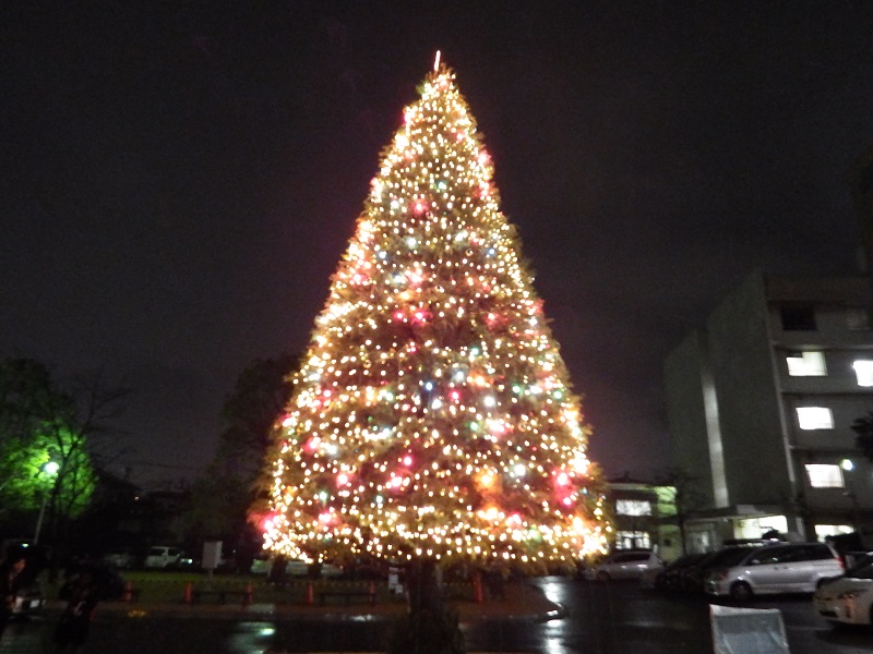 「地域の風物詩」　聖学院大学のクリスマスツリー点灯