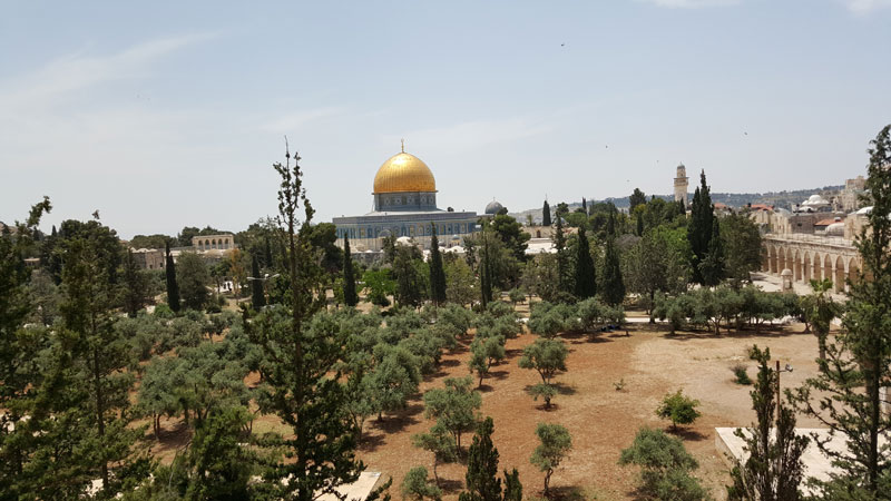 妹尾光樹のイスラエル旅行記（７）ヴィア・ドロローサ