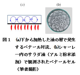 【科学の本質を探る⑭】複雑系における秩序形成と生命現象（その１）生命体と自己組織化、散逸構造　阿部正紀