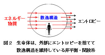 【科学の本質を探る⑭】複雑系における秩序形成と生命現象（その１）生命体と自己組織化、散逸構造　阿部正紀