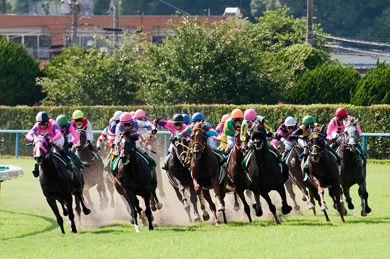 競馬予想詐欺、大多和孝良社長ら１２人逮捕　４万人から２９億円詐取か