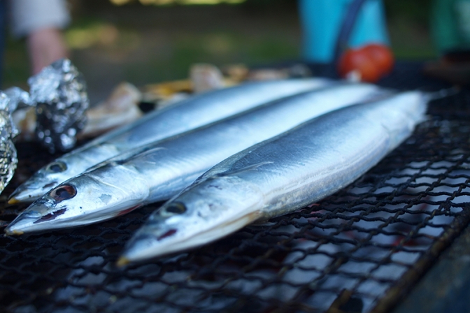若松魚類、消費期限５カ月過ぎたサンマすり身納品　福島県下郷町の小中校で８７人食中毒