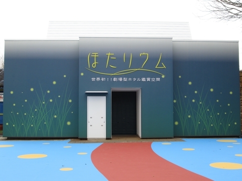 東京・青山に１日限りのホタル観賞施設「ほたリウム」登場　２月１３日