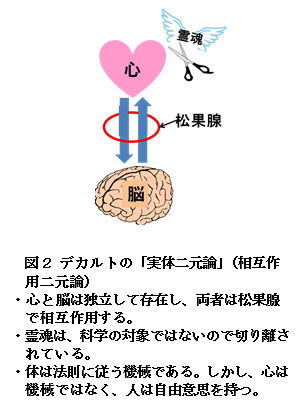 【科学の本質を探る㉝】脳科学の未解決問題（その２）「心と脳」に関する「心脳二元論」の発展と問題点