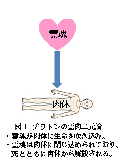 【科学の本質を探る㉝】脳科学の未解決問題（その２）「心と脳」に関する「心脳二元論」の発展と問題点