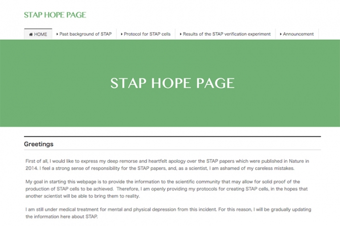 小保方晴子氏がＨＰ「STAP HOPE PAGE」開設　ＳＴＡＰ細胞の作製手順など公開