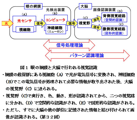 【科学の本質を探る㊵】生物進化論の未解決問題（その５）自然淘汰で「情報」と「理論」が作り出されるか