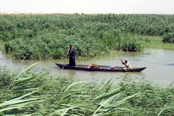 「エデンの園」があったと考えられているイラク南部の湿地帯が世界遺産に