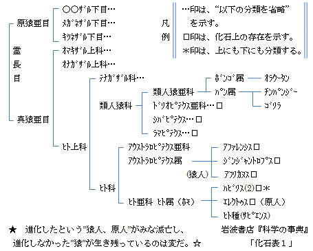 なにゆえキリストの道なのか（７３）猿人、原人の化石　サルから進化したと見ることができるのでは　正木弥