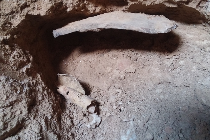 死海文書の１２番目の洞窟発見、６０年ぶり　写本自体は盗掘被害に