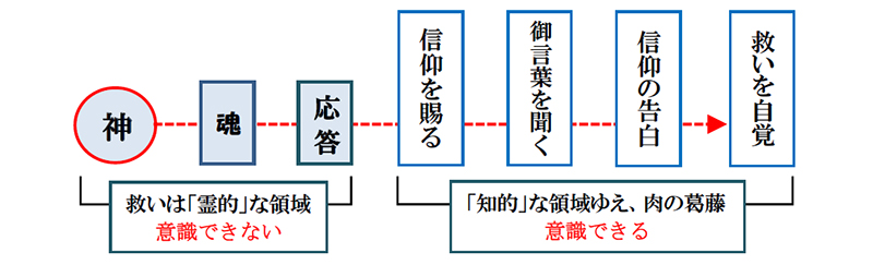 福音の回復（４５）誰が救われるの？Ⅱ―信仰による義認、予定説（前編）　三谷和司