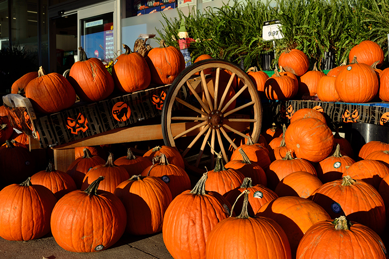 教会がハロウィンを取り戻すべき理由