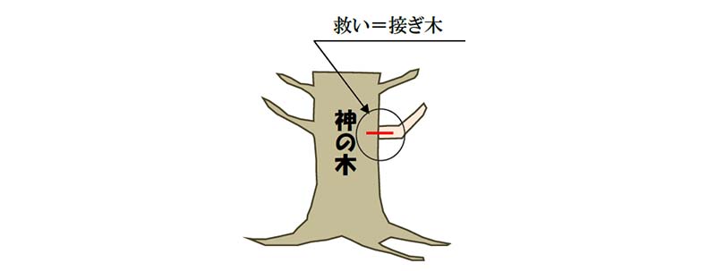 福音の回復（４７）救いは取り消されることがある？ それともない？　三谷和司