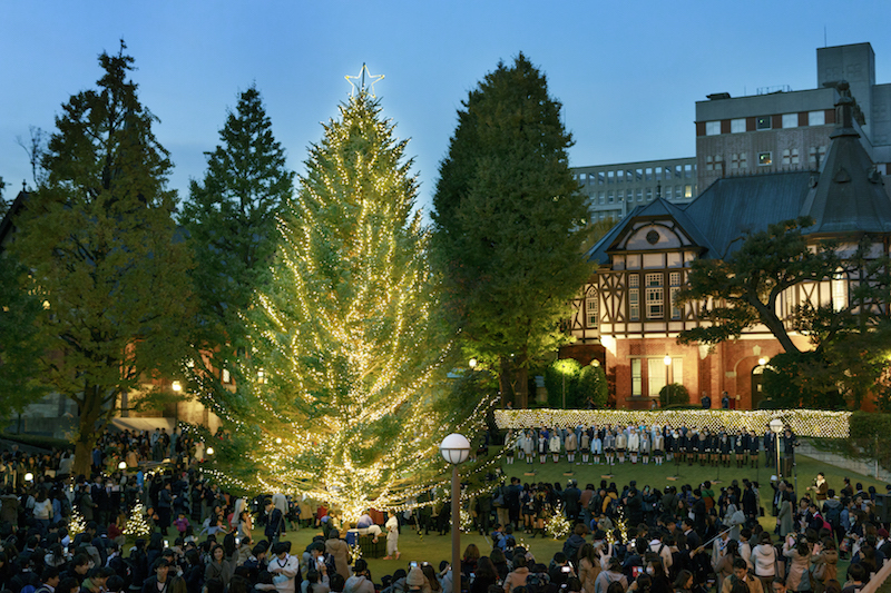 明治学院大　クリスマスの喜びを共に　クリスマスツリー点灯式開催　