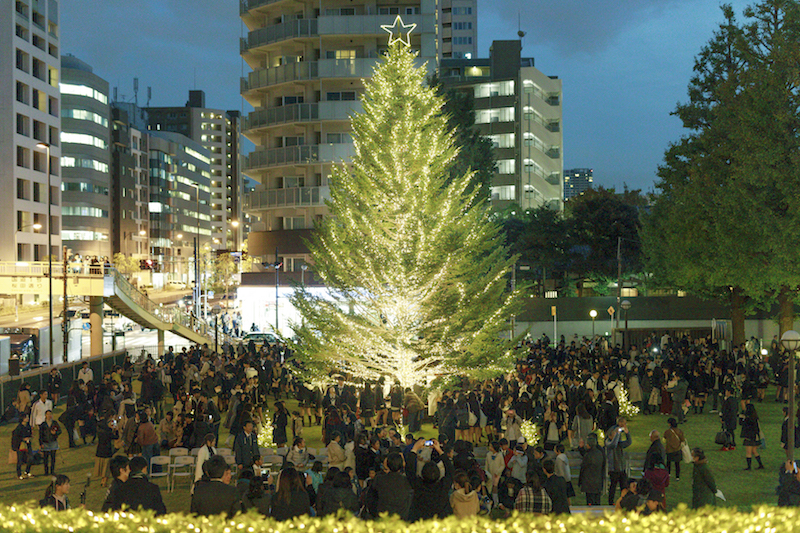 明治学院大　クリスマスの喜びを共に　クリスマスツリー点灯式開催　