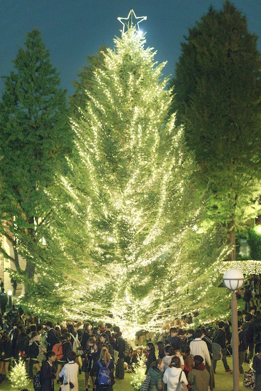 明治学院大　クリスマスの喜びを共に　クリスマスツリー点灯式開催　