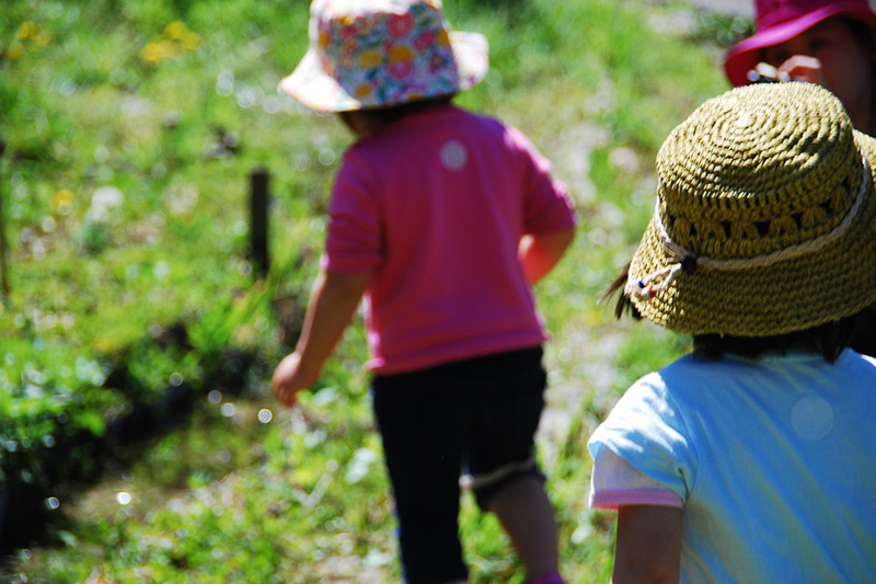 子どもたちをどう守るか―児童福祉の現場から（５）「無責任な判断」と「安易な常識」