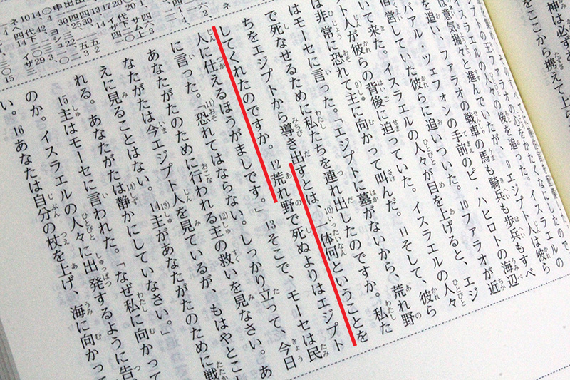 一文丸ごと抜け落ちも　「聖書協会共同訳」の訂正箇所一覧公表