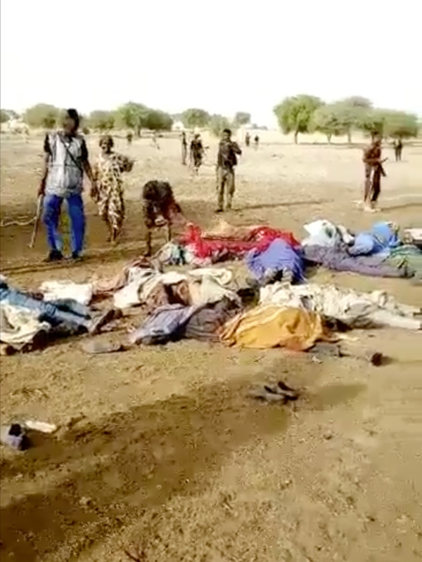 ナイジェリアで武装勢力襲撃、８１人死亡　ボコ・ハラムの犯行か