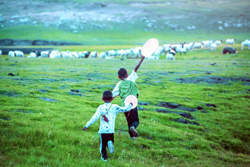 映画「羊飼いと風船」　宗教と現代性、その普遍的な対立を見事に描き切った秀作