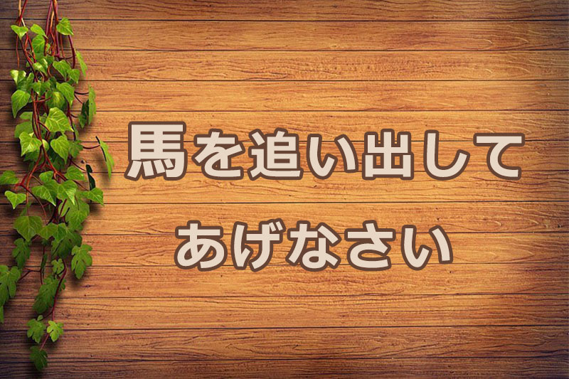 馬を追い出してあげなさい　安食弘幸