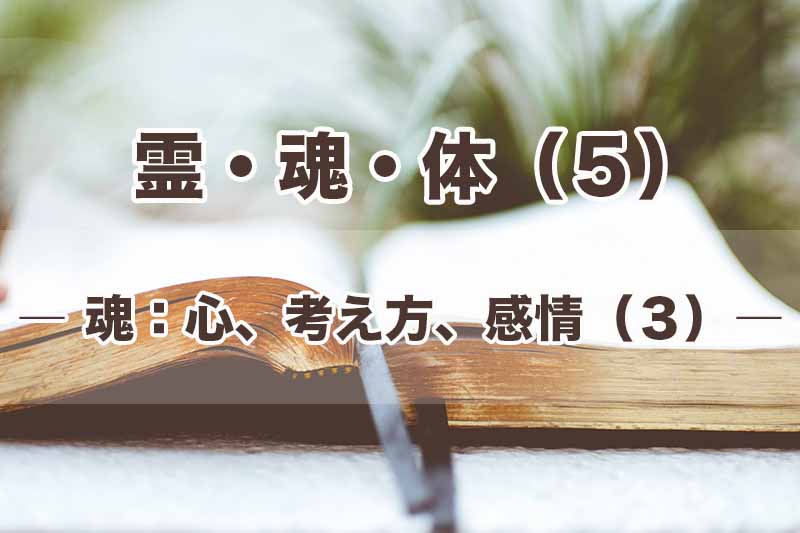 霊・魂・体（５）魂：心、考え方、感情（３）　加治太郎