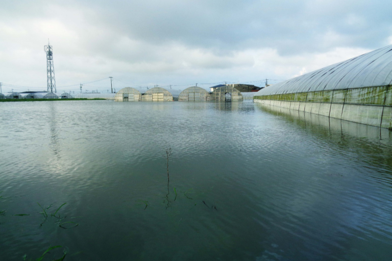 河川の氾濫で海一面のよう　神戸国際支縁機構、大雨当日に九州北部訪問し物資配布