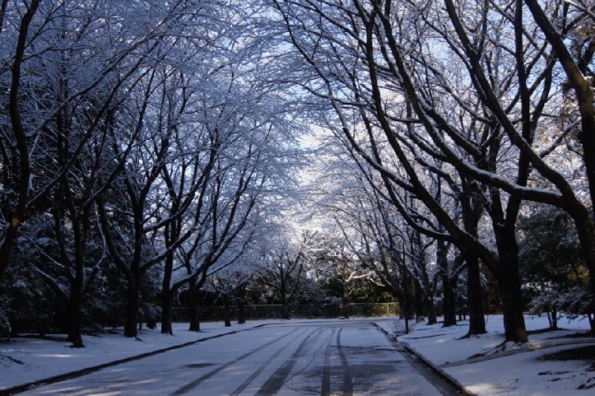 雪が積もったＴＣＵキャンパス。２０１２年１月２４日、東京基督教大学（千葉県印西市）で（写真提供：ＴＣＵ）。